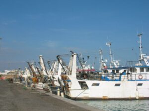 Il porto di San Benedetto