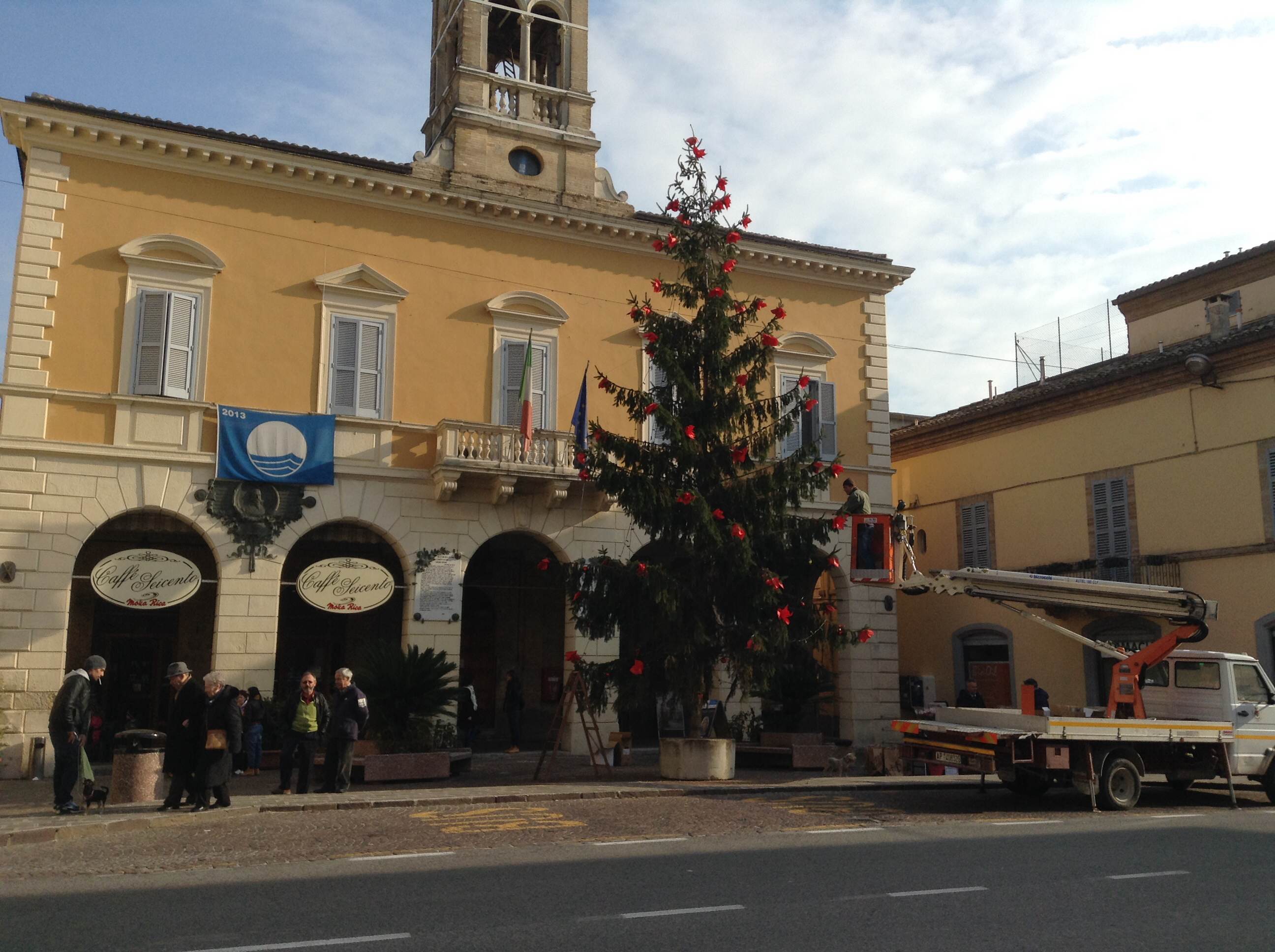 albero Cupra