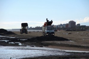 detriti spiaggia febbraio 2014 002