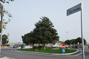 piazza setti carraro 1