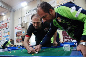 subbuteo