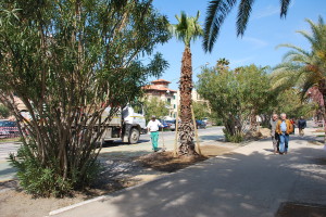 nuova palma lungomare nord 2-1