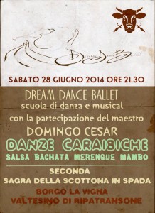 L'Ancora (077) - 05 - Scottona 2014 - Dream Dance Ballet