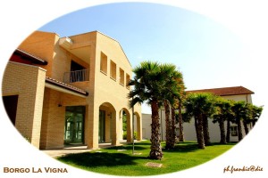 L'Ancora (077) - 07 - Scottona 2014 - Borgo La Vigna