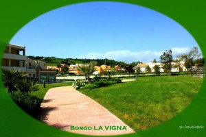 L'Ancora (077) - 09 - Scottona 2014 - Borgo La Vigna