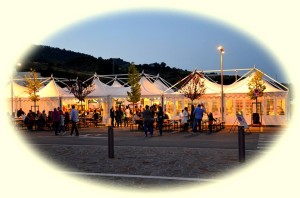 L'Ancora (077) - 10 - Scottona 2013 - Location