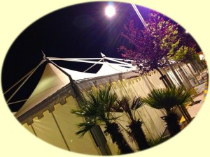 L'Ancora (077) - 11 - Scottona 2013 - Location