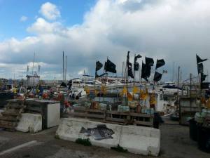 10904339_10205609967790846_1885156003_n