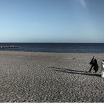 20140516044954-dal_basso_foto