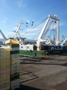 10934190_10205803462028081_403422326_n