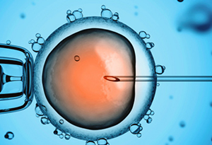 fecondazione