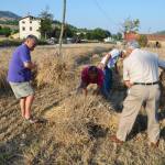 L'Ancora (101) - 04 - Tommaso Galieni - La V'v'tella 2015