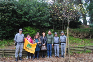 giornata dell'albero