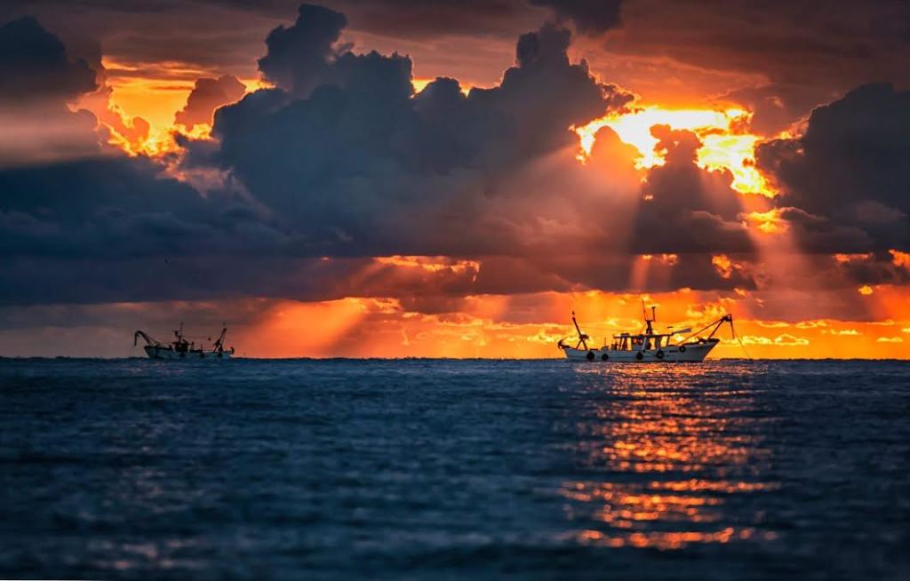 Foto Giuseppe Palestini