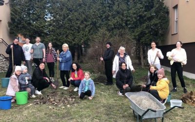 Post Images