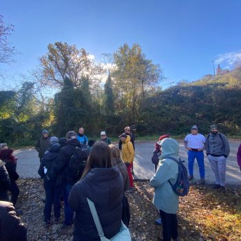 post categories images